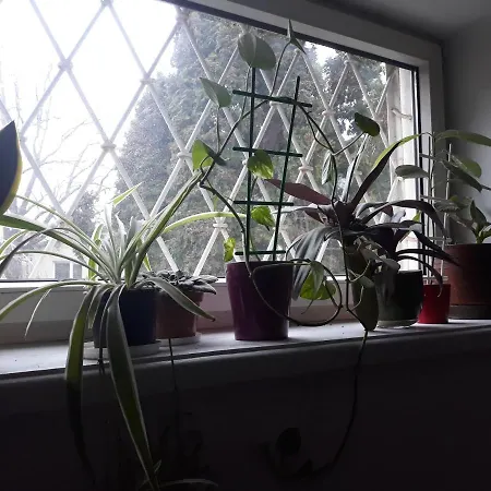 Macedonia * Varšava