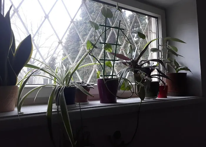 Macedonia * وارسو